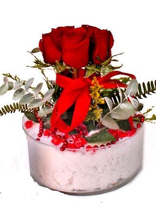 Ankara Kızılay çiçekçi satışı sitemizden cam içerisinde 7 adet kırmızı gül Ankara çiçek gönder firması şahane ürünümüz