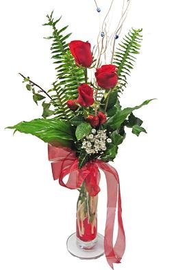 Ankara çiçek yolla dükkanımızdan sadece etkileme gülleri Ankara çiçek gönder firması şahane ürünümüz