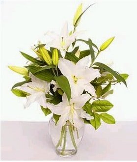 Ankara çiçek siparişi gönderme 4 dal cazablanca vazo çiçeği