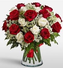 Vazoda 12 kırmızı 12 beyaz gül tanzimi Ankara uluslararası çiçek gönderme