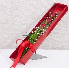 Kutu içerisinde 3 adet kırmızı gül Ankara online çiçek gönderme sipariş