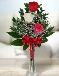 Camda 2 kırmızı 1 beyaz gül Ankara ucuz çiçek gönder