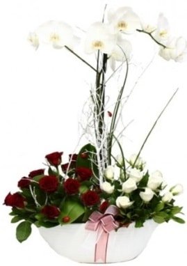 Tek dal beyaz orkide 12 beyaz 12 kırmızı gül Ankara çiçek satışı